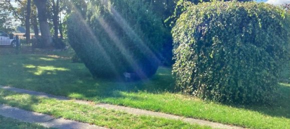 1 chambre Maison à Barnim, Germany No. 304065 6