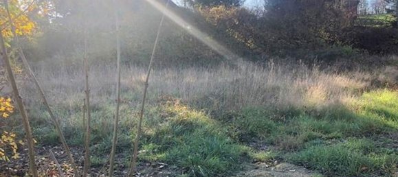  قطعة أرض في Breitenfurt bei Wien, Austria رقم 133947 5