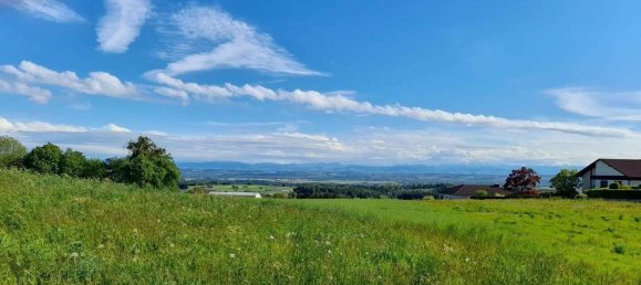 Terrain à Windhaag bei Perg, Austria No. 35411 4