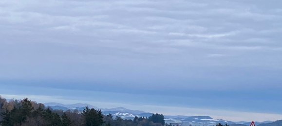 Terrain à Windhaag bei Perg, Austria No. 35411 2