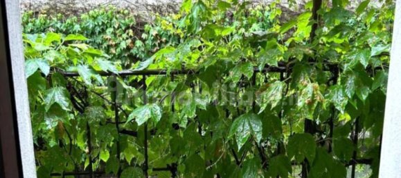 3 rooms Office in Milan, Italy No. 376636 26