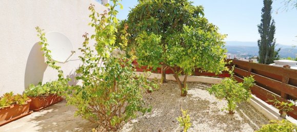 5 غرف نوم فيلا في Pegeia, Cyprus رقم 22887 23