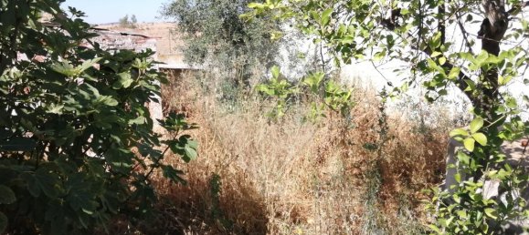 3 bedrooms House in Santana de Cambas, Portugal No. 152238 8