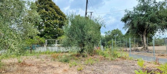 4470m² Hotel in Corfu, Greece No. 3478 2