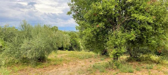 4470m² Hotel in Corfu, Greece No. 3478 6