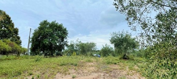 4470m² Hotel in Corfu, Greece No. 3478 8