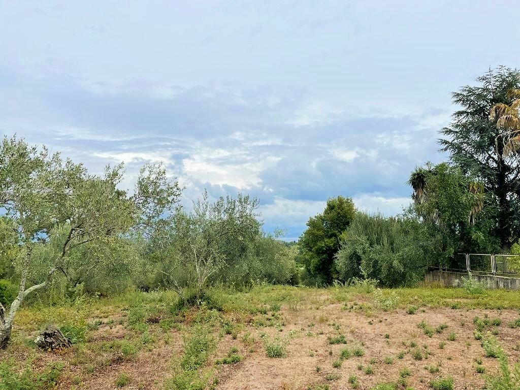 4470m² Hotel in Corfu, Greece No. 3478