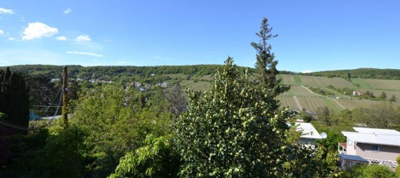  Land in Dobling, Austria No. 222636 2