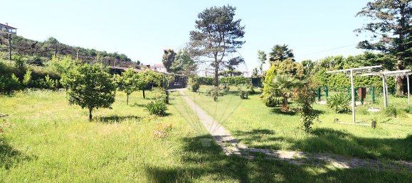 4 Schlafzimmer Haus in Amarante, Portugal, Nr. 22257 10