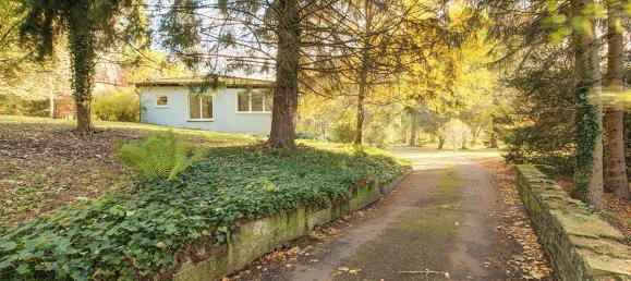 Oficina de 6 habitaciónes en Westerwaldkreis, Germany No. 61153 33