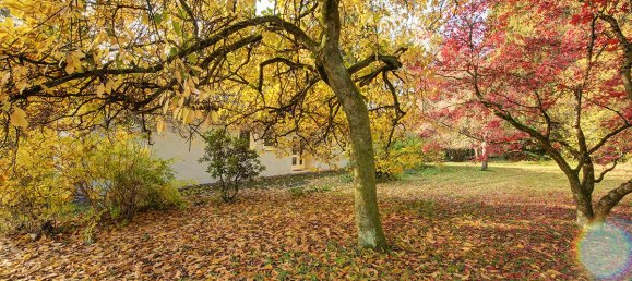 Oficina de 6 habitaciónes en Westerwaldkreis, Germany No. 61153 34