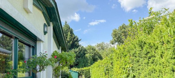 2غرفة منزل في Gotzendorf an der Leitha, Austria رقم 145612 8