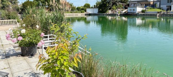 2غرفة منزل في Gotzendorf an der Leitha, Austria رقم 145612 5