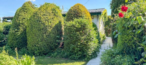 2غرفة منزل في Gotzendorf an der Leitha, Austria رقم 145612 3