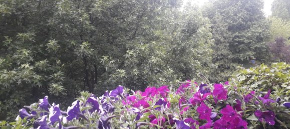 5 Schlafzimmer Penthouse in Buccinasco, Italy, Nr. 364215 8