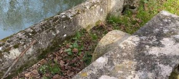 Casa de 3 dormitorios en Chatillon-sur-Indre, France No. 311043 3