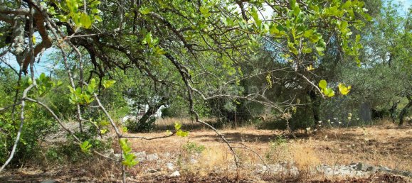 Grundstück in Sao Bras de Alportel, Portugal 600m², Nr. 35265 12