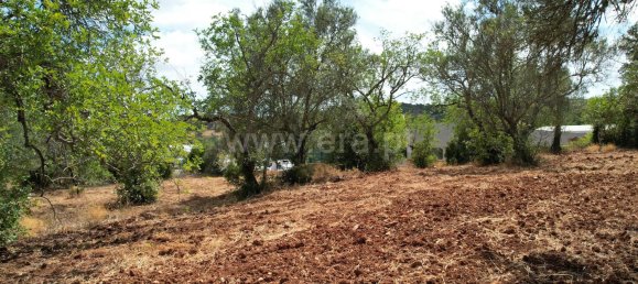 Grundstück in Sao Bras de Alportel, Portugal 600m², Nr. 35265 13