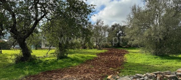 Grundstück in Sao Bras de Alportel, Portugal 600m², Nr. 35265 4