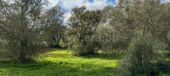 Grundstück in Sao Bras de Alportel, Portugal 600m², Nr. 35265 3