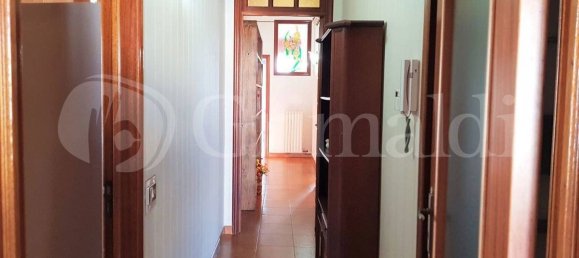 3 chambres Maison à Sannicola, Italy No. 86257 8