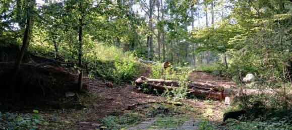  Land in Zweibrucken, Germany No. 336501 3