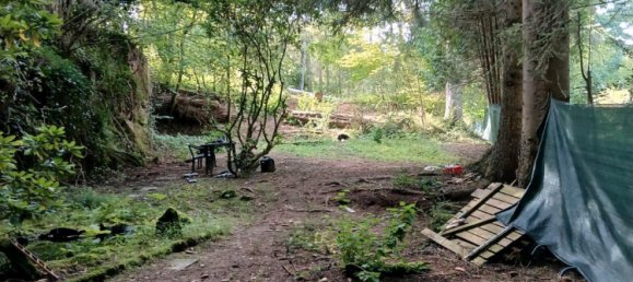  Land in Zweibrucken, Germany No. 336501 5