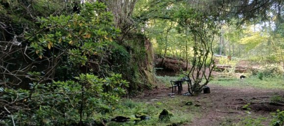  Land in Zweibrucken, Germany No. 336501 4