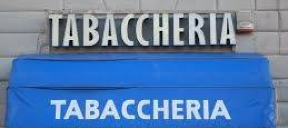 2-Zimmer Gewerbliche Immobilie in Rivarolo Canavese, Italy, Nr. 101708 11