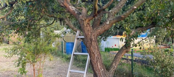 Grundstück in Teltow-Fläming, Germany, Nr. 359767 10