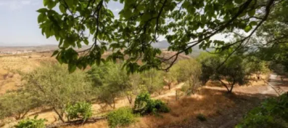 Дом с 8 спальнями в Гранада, Испания № 174550 4