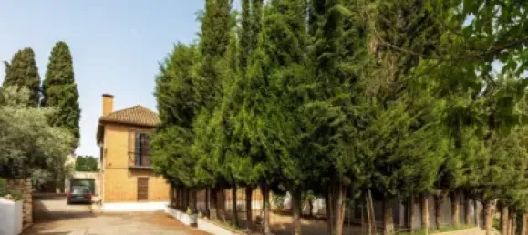 Дом с 8 спальнями в Гранада, Испания № 174550 7