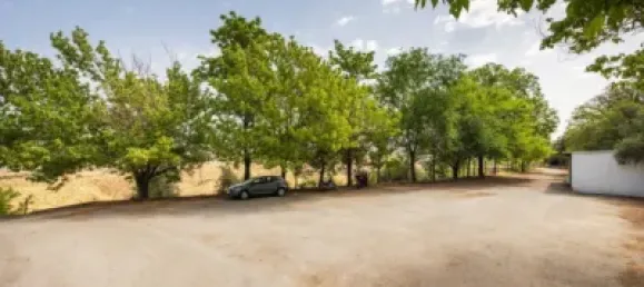 Дом с 8 спальнями в Гранада, Испания № 174550 6