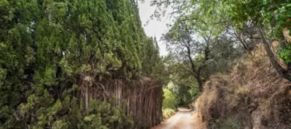 Дом с 8 спальнями в Гранада, Испания № 174550 2