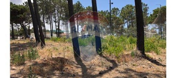 311750m² Land in Grandola, Portugal No. 79842 6