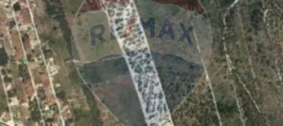 311750m² Land in Grandola, Portugal No. 79842 15
