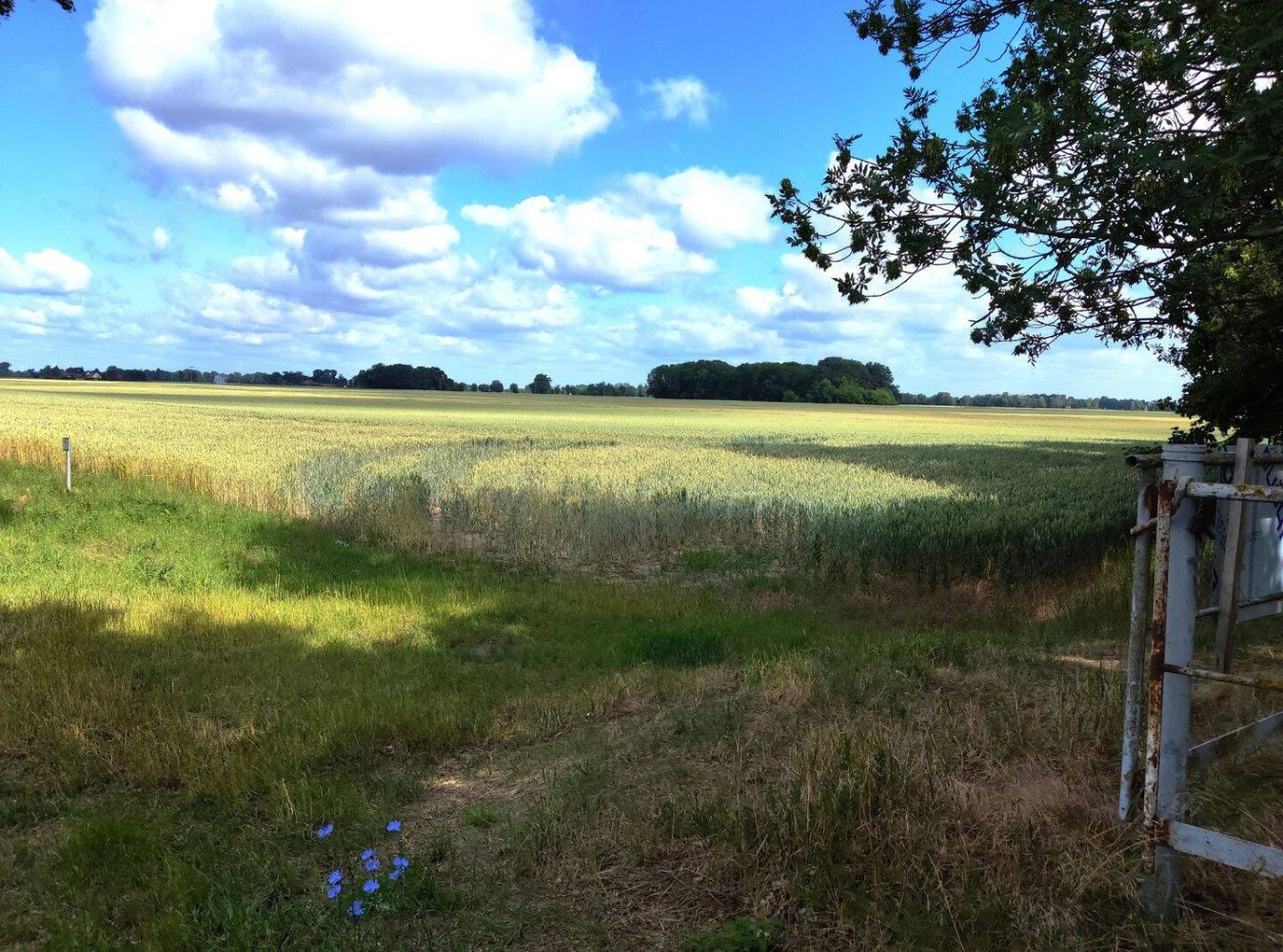 Studio in Märkisch-Oderland, Germany, Nr. 220100
