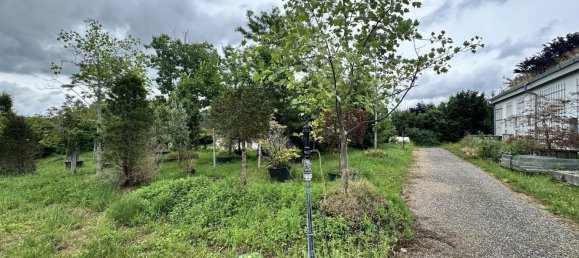  مستودع في Sierning, Austria 11665متر مربع رقم 208534 6