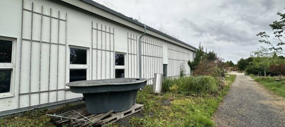  مستودع في Sierning, Austria 11665متر مربع رقم 208534 4