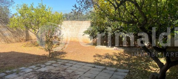 Дом с 3 спальнями в Sannicola, Италия № 351647 8