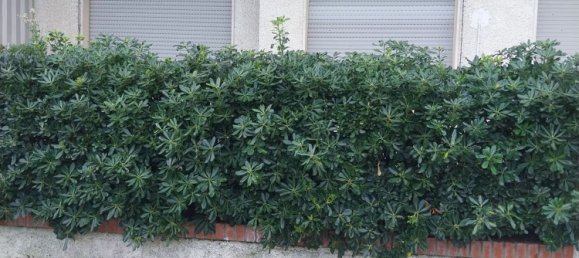 4-Zimmer Wohnung in Viareggio, Italy, Nr. 100804 22