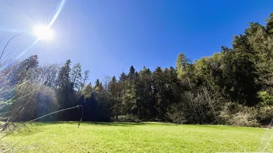 Terrain à Tulfes, Austria No. 214824