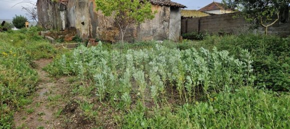 Дом с 3 спальнями в Рединья, Португалия № 175090 19