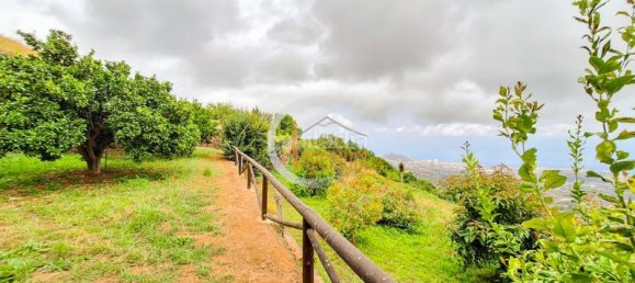 2 bedrooms House in La Orotava, Spain No. 184105 28