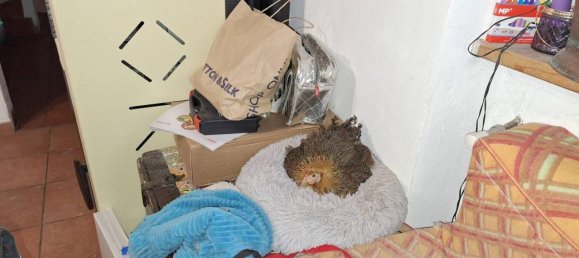 5 rooms House in Collesalvetti, Italy No. 37697 17