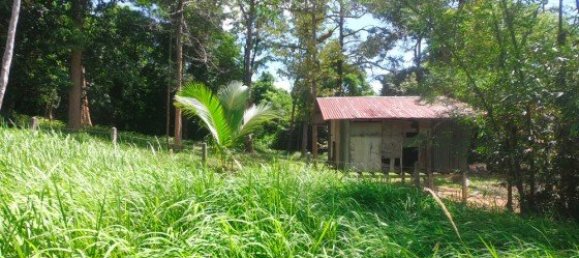 Gewerbliche Immobilie in Pa Klok, Thailand 6400m², Nr. 12585 8