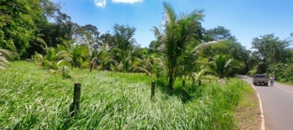 Gewerbliche Immobilie in Pa Klok, Thailand 6400m², Nr. 12585 3