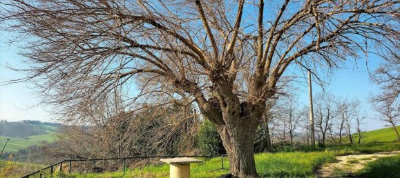 16 rooms House in San Marcello, Italy No. 128188 13