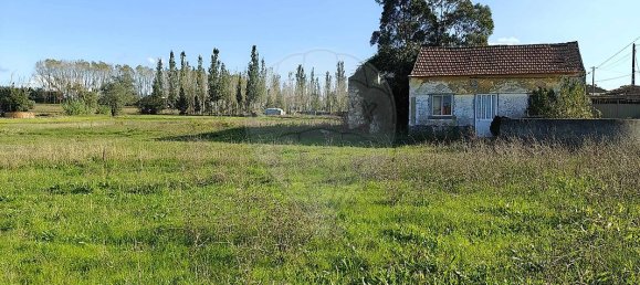 2 bedrooms House in Seixo de Gatoes, Portugal No. 32186 9