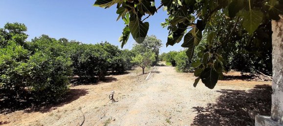 3 bedrooms House in Olhao, Portugal No. 27681 25